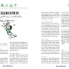 Detektiv-Trails 77 tolle Sachen machen – Das große Ideenbuch für kleine Spürnasen Blick ins Buch