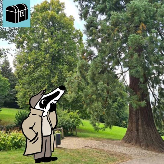 Detektiv-Trail Detmold